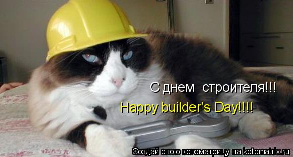 Котоматрица: Коллеги с днем  строителя!!! Happy builder's day!!!1 C днем  строителя!!!  Happy builder's Day!!!!