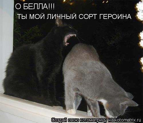 Котоматрица: О БЕЛЛА!!!  ТЫ МОЙ ЛИЧНЫЙ СОРТ ГЕРОИНА