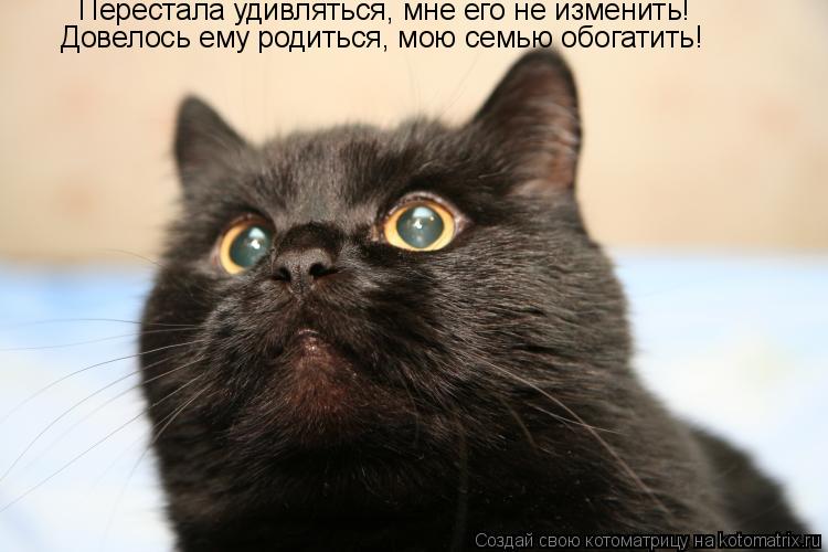Котоматрица: Перестала удивляться, мне его не изменить! Довелось ему родиться, мою семью обогатить!