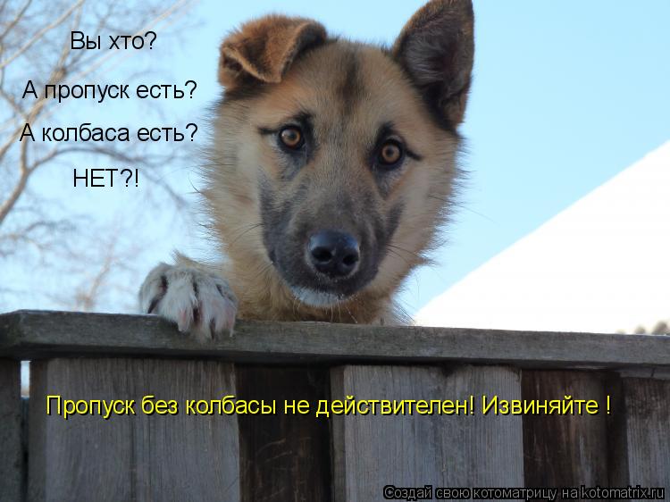 Котоматрица: Вы хто? А пропуск есть? А колбаса есть? НЕТ?! Пропуск без колбасы не действителен! Извиняйте !