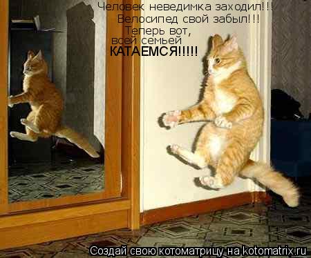 Котоматрица: Человек неведимка заходил!!! Велосипед свой забыл!!! Теперь вот, всей семьей КАТАЕМСЯ!!!!!