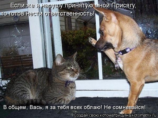 Котоматрица: Если же я нарушу принятую мной Присягу,  то готов нести ответственность! В общем, Вась, я за тебя всех облаю! Не сомневайся!