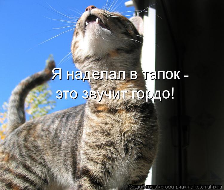 Котоматрица: Я наделал в тапок - это звучит гордо!