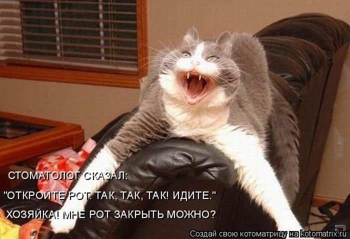 Котоматрица: СТОМАТОЛОГ СКАЗАЛ:  "ОТКРОЙТЕ РОТ. ТАК, ТАК, ТАК! ИДИТЕ." ХОЗЯЙКА! МНЕ РОТ ЗАКРЫТЬ МОЖНО?