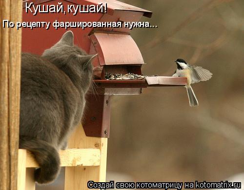 Котоматрица: Кушай,кушай! По рецепту фаршированная нужна...