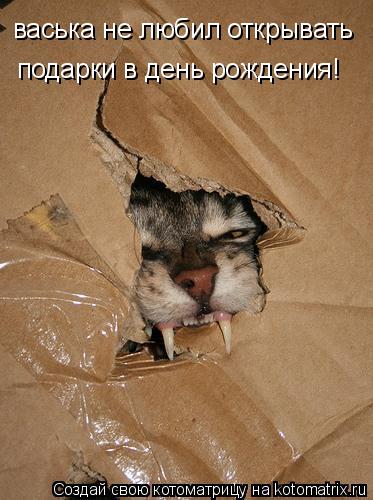 Котоматрица: васька не любил открывать подарки в день рождения!