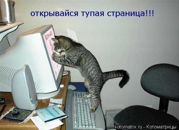 Котоматрица: открывайся тупая страница!!!