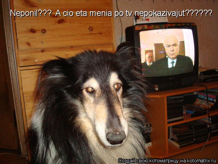 Котоматрица: Neponil???  A cio eta menia po tv nepokazivajut??????