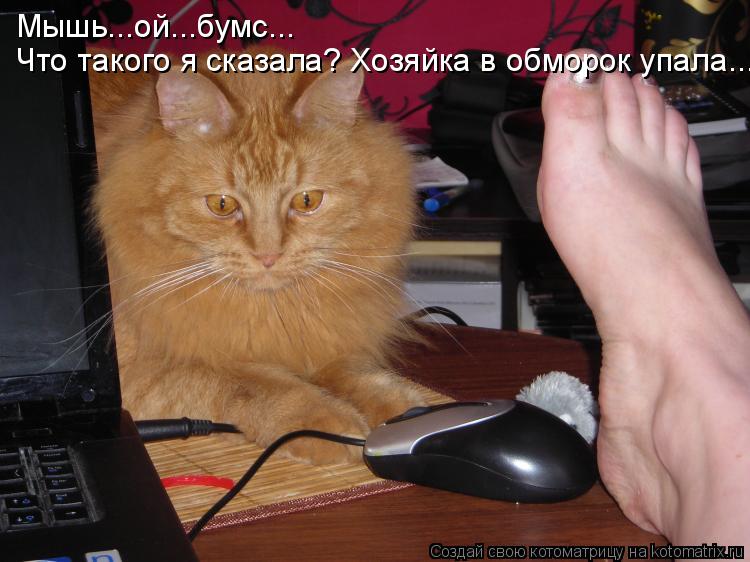 Котоматрица: Мышь...ой...бумс... Что такого я сказала? Хозяйка в обморок упала...