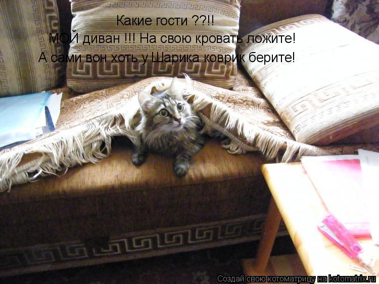 Котоматрица: Какие гости ??!! МОЙ диван !!! На свою кровать ложите! А сами вон хоть у Шарика коврик берите!