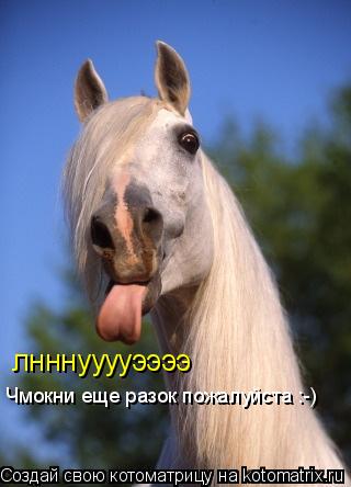 Котоматрица: лнннууууээээ Чмокни еще разок пожалуйста :-)