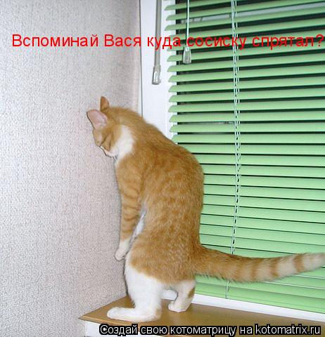 Котоматрица: Вспоминай Вася куда сосиску спрятал?
