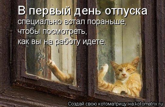 Котоматрица: В первый день отпуска специально встал пораньше, чтобы посмотреть, как вы на работу идете.