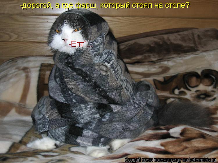 Котоматрица: -дорогой, а где фарш, который стоял на столе? -дорогой, а где фарш, который стоял на столе? -Епт`...