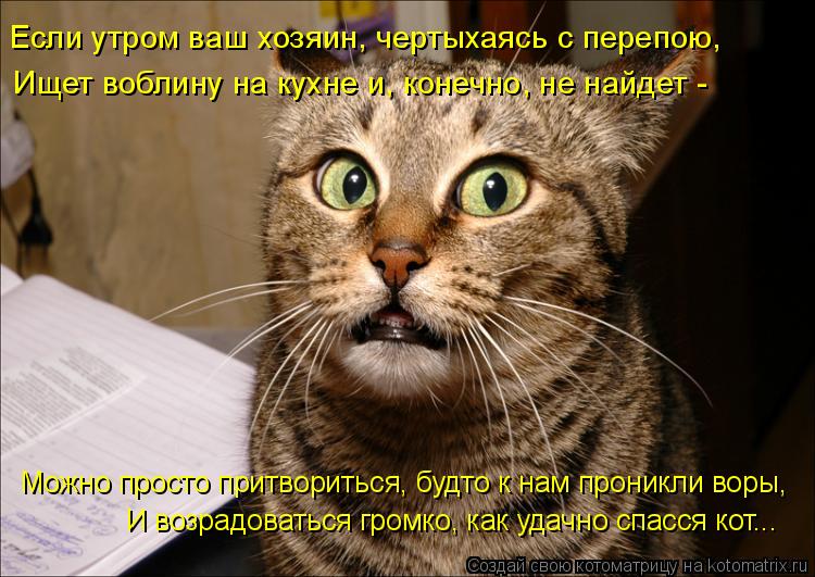 Можно просто притвориться, будто к нам проникли воры, И возрадоваться громко, как удачно спасся кот.... Котоматрица: Можно просто притвориться, будто к нам проникли воры, И возрадоваться громко, как удачно спасся кот... Ищет воблину на кухне и, конечно, не на