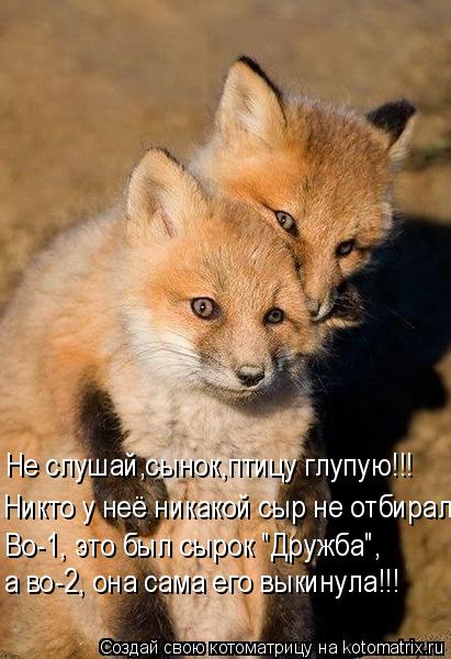 Не слушай,сынок,птицу глупую!!! Во-1, это был сырок "Дружба", Никто у неё никакой сыр не отбирал!!! а... Котоматрица: Не слушай,сынок,птицу глупую!!! Во-1, это был сырок "Дружба", Никто у неё никакой сыр не отбирал!!! а во-2, она сама его выкинула!!!