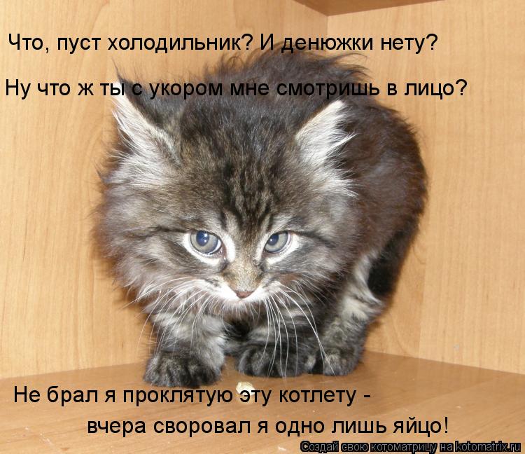 Котоматрица: Ну что ж ты с укором мне смотришь в лицо? Не брал я проклятую эту котлету -  вчера своровал я одно лишь яйцо! Что, пуст холодильник? И денюжки н