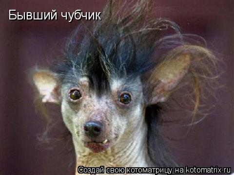 Котоматрица: Бывший чубчик