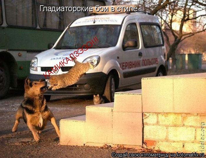 Котоматрица: Гладиаторские бои в стиле-  КАМИКАДЗЭЭЭ!!!