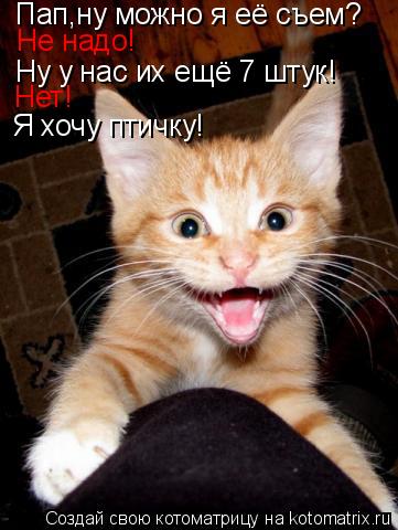 Котоматрица: Пап,ну можно я её съем? Не надо! Ну у нас их ещё 7 штук! Нет! Я хочу птичку!