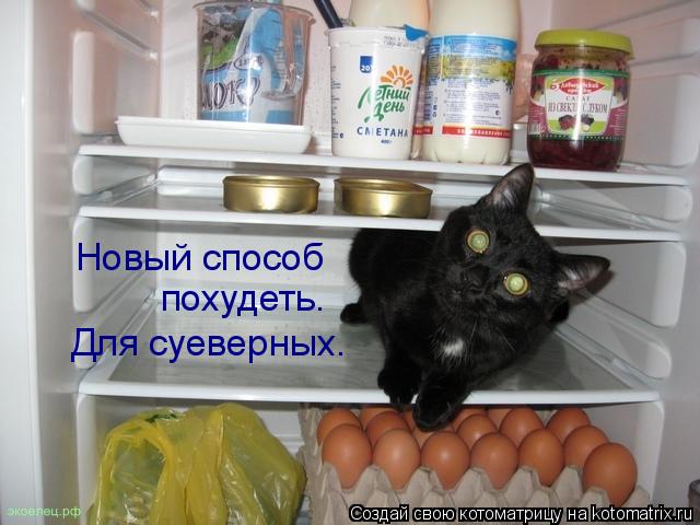 Котоматрица: Новый способ похудеть. Для суеверных.
