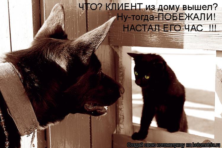 Котоматрица: ЧТО? КЛИЕНТ из дому вышел? Ну-тогда-ПОБЕЖАЛИ! НАСТАЛ ЕГО ЧАС  !!!
