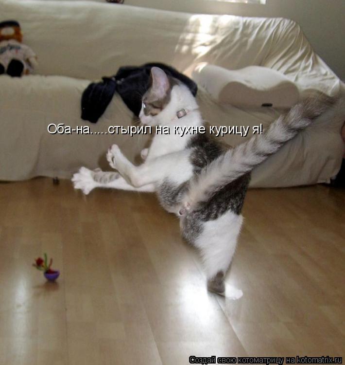 Котоматрица: Оба-на.....стырил на кухне курицу я!