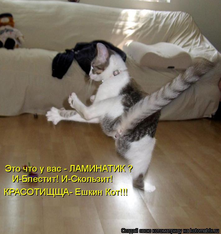Котоматрица: Это что у вас - ЛАМИНАТИК ? И-Блестит! И-Скользит! КРАСОТИЩЩА- Ешкин Кот!!!