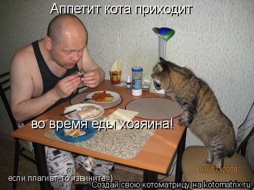Котоматрица: Аппетит кота приходит во время еды хозяина! если плагиат, то извините=)