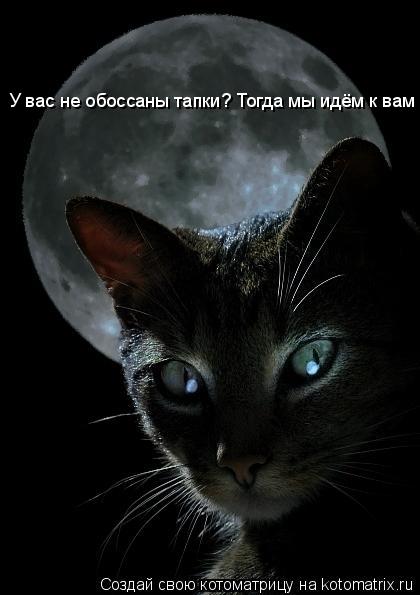Котоматрица: У вас не обоссаны тапки? Тогда мы идём к вам