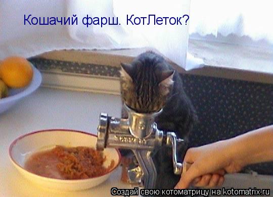 Котоматрица: Кошачий фарш. КотЛеток?