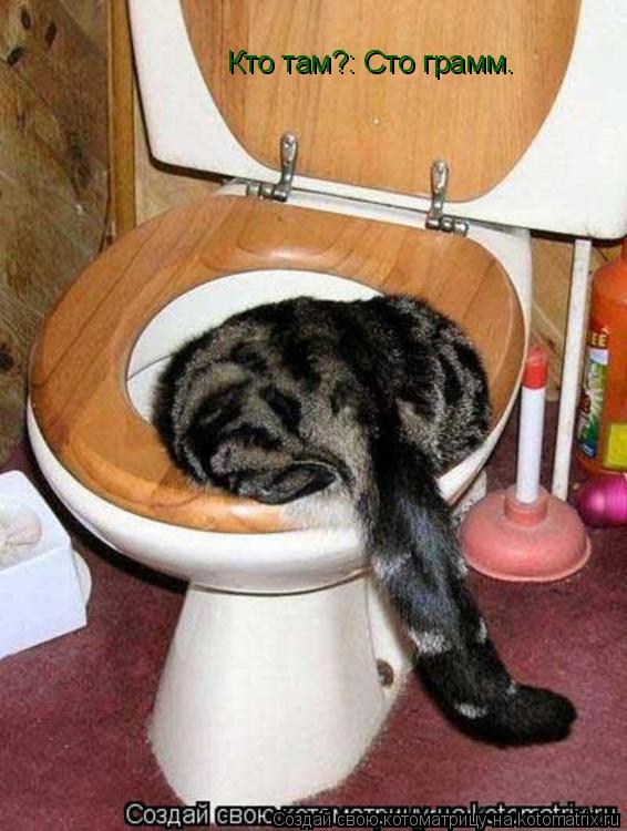 Котоматрица: Кто там?: Сто грамм.