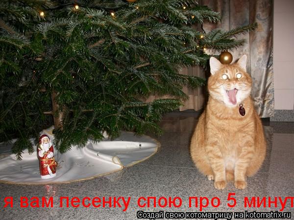 Котоматрица: я вам песенку спою про 5 минут
