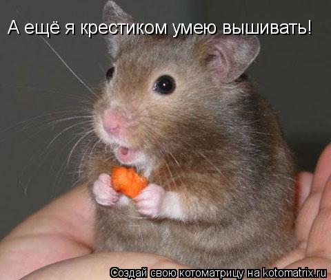 Котоматрица: А ещё я крестиком умею вышивать!