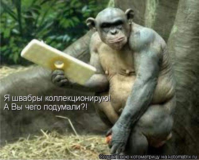 Котоматрица: Я швабры коллекционирую! А Вы чего подумали?!