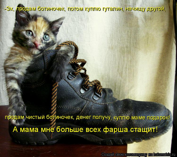 Котоматрица: -Эх, продам ботиночек, потом куплю гуталин, начищу другой, продам чистый ботиночек, денег получу  , куплю маме подарок! А мама мне больше всех 