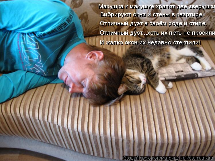 Котоматрица: Макушка к макушке храпят две зверушки.  Вибрируют окна и стены в квартире Отличный дуэт в своём роде и стиле.  Отличный дуэт...хоть их петь не 