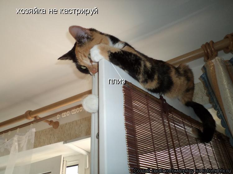 Котоматрица: хозяйка не кастрируй плиз