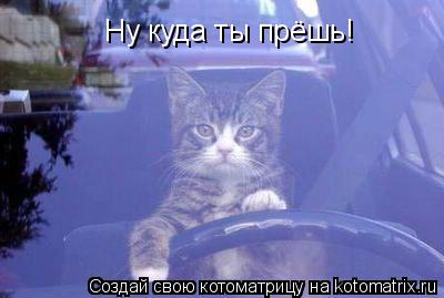 Котоматрица: Ну куда ты прёшь!