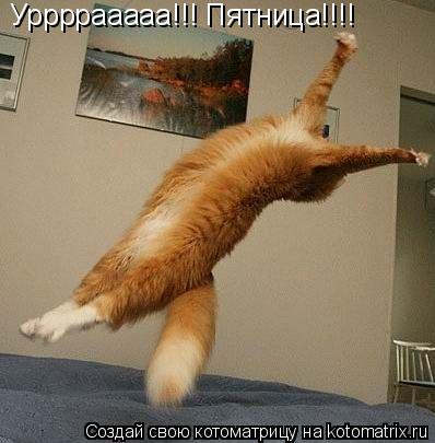 Котоматрица: Уррррааааа!!! Пятница!!!!
