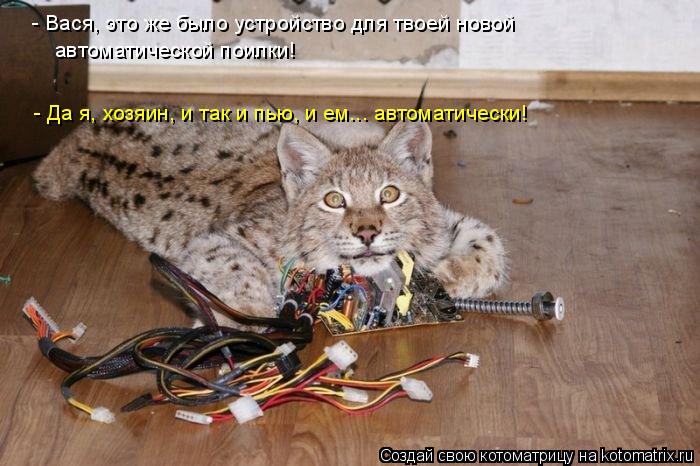 Котоматрица: - Вася, это же было устройство для твоей новой автоматической поилки! - Да я, хозяин, и так и пью, и ем... автоматически!