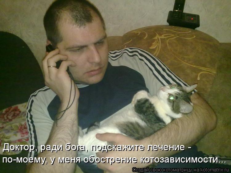 Котоматрица: Доктор, ради бога, подскажите лечение - по-моему, у меня обострение котозависимости...