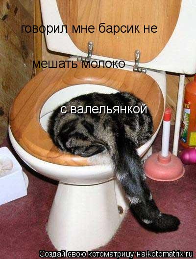 Котоматрица: говорил мне барсик не мешать молоко  с валельянкой