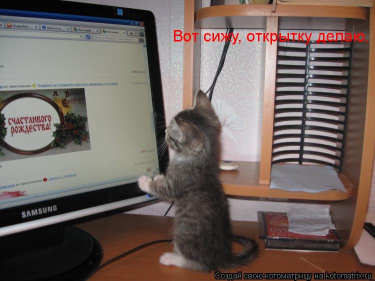 Котоматрица: Вот сижу, открытку делаю.