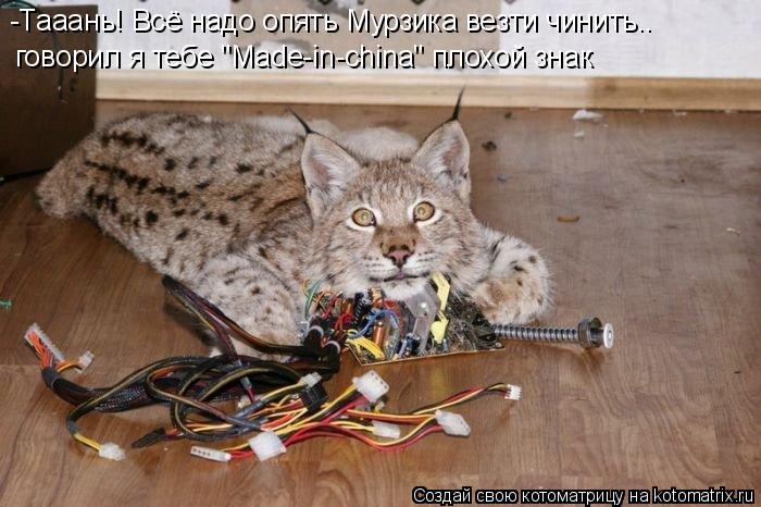 Котоматрица: -Тааань! Всё надо опять Мурзика везти чинить.. говорил я тебе "Made-in-china" плохой знак