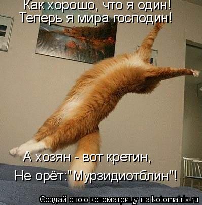 Котоматрица: Как хорошо, что я один! Теперь я мира господин! Не орёт:"Мурзидиотблин"! А хозян - вот кретин,