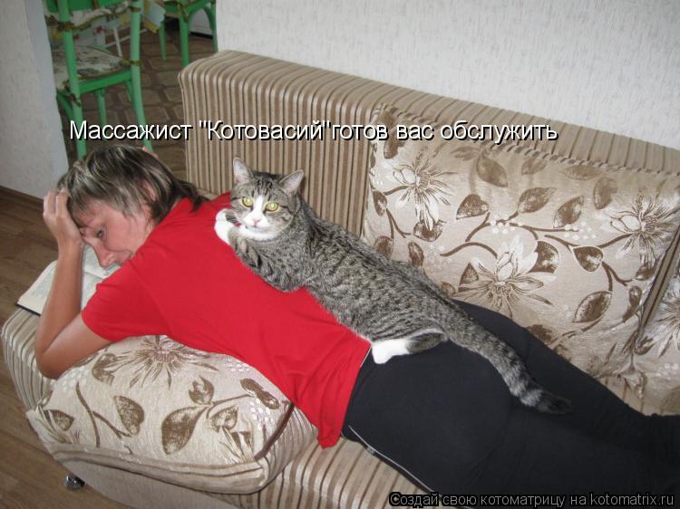 Котоматрица: Массажист "Котовасий"готов вас обслужить