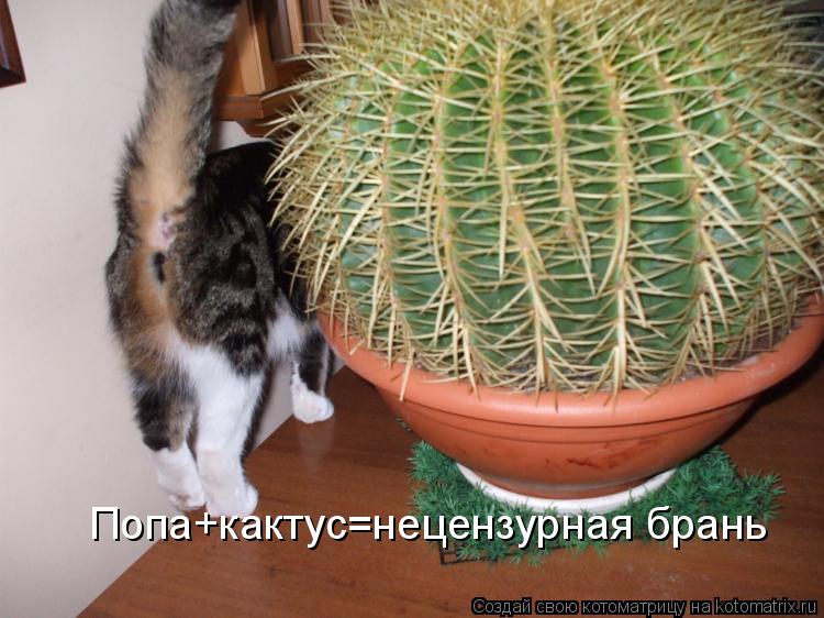 О Рождестве - Что такое Рождество Народные куклы и игрушки
