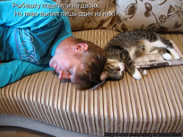 Котоматрица: Рыбёшку поделили на двоих, Но пиво выпил лишь один из них!