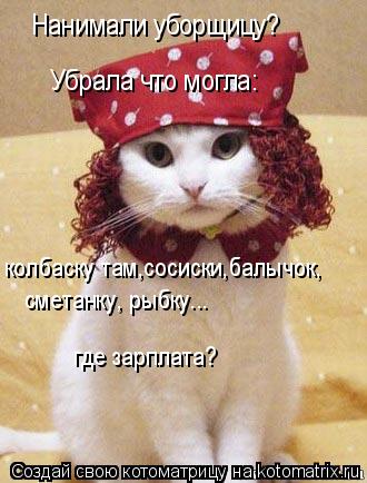 Котоматрица: Нанимали уборщицу? Убрала что могла: колбаску там,сосиски,балычок, сметанку, рыбку... где зарплата?